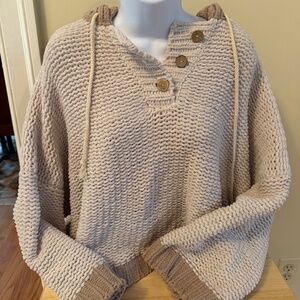 Neely Fall Chunky Oversized Knit Pullover Hooded Sweater